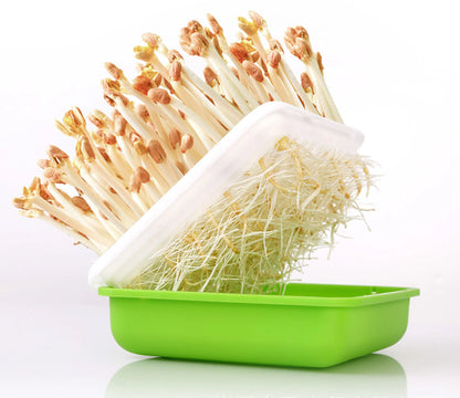 1Pc Seed Sprouts Tray Nursery Tray Hydroponic Mini Greenhouse Germination Kits for Sprout Planting Container Green Growing Tray