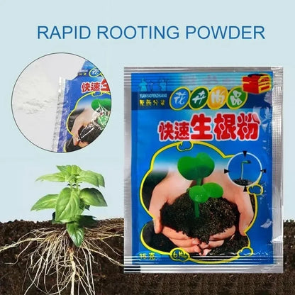 5pcs Fast Rooting Powder Plant Rapid Rooting Agent Hormone Growing Root Seedling Germination For Most Plants Garden Supplies