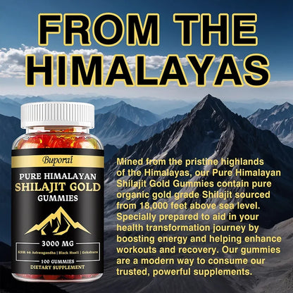 Shilajit Gummies – Boosts Energy, Mood, Immunity & Digestive Health – Himalayan Sourced