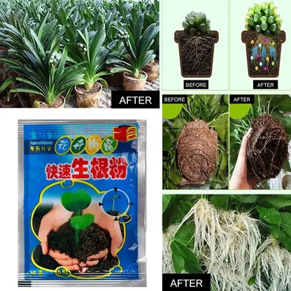 5pcs Fast Rooting Powder Plant Rapid Rooting Agent Hormone Growing Root Seedling Germination For Most Plants Garden Supplies
