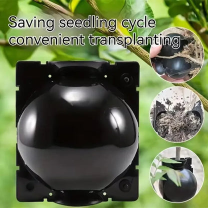 10Pcs Plant Rooting Ball Propagation Rooting Box Reusable Plant Root Growing Box Cuttings Grafting Rooting Propagation Pots