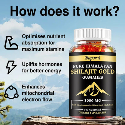 Shilajit Gummies – Boosts Energy, Mood, Immunity & Digestive Health – Himalayan Sourced