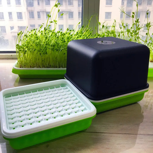 1Pc Seed Sprouts Tray Nursery Tray Hydroponic Mini Greenhouse Germination Kits for Sprout Planting Container Green Growing Tray