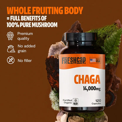 Chaga Mushroom Capsules – Antioxidant Support, Boosts Immunity, Skin Vitality & Digestive Balance