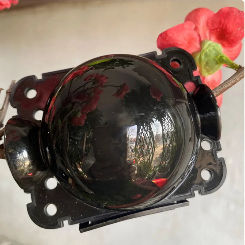 10Pcs Plant Rooting Ball Propagation Rooting Box Reusable Plant Root Growing Box Cuttings Grafting Rooting Propagation Pots