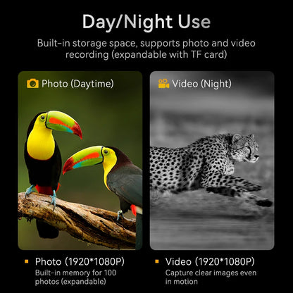 1080P Night Vision Binoculars – 10x Digital Zoom, 800m Full Dark Infrared, 2.8” IPS Screen