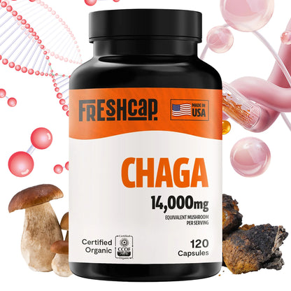 Chaga Mushroom Capsules – Antioxidant Support, Boosts Immunity, Skin Vitality & Digestive Balance