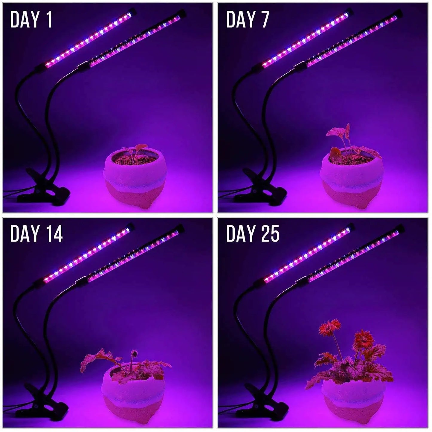 USB LED Plant Grow Light Indoor Garden 10 Dimmable Levels Grow Light Full Spectrum Timer Setting Hydroponic Greenhouse 3H/9H/12H