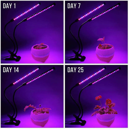 USB LED Plant Grow Light Indoor Garden 10 Dimmable Levels Grow Light Full Spectrum Timer Setting Hydroponic Greenhouse 3H/9H/12H