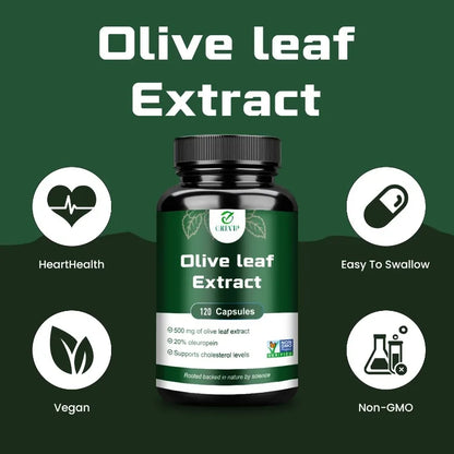 ✨ Olive Leaf Extract – Supports Heart & Immune System Health