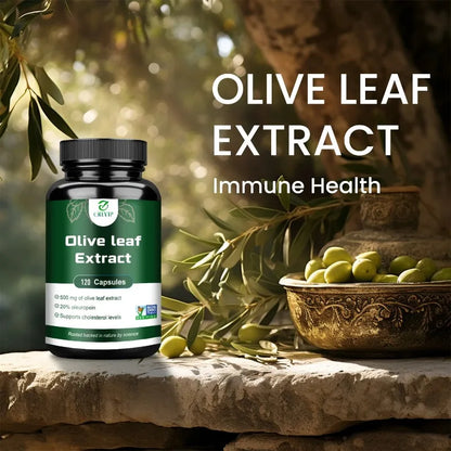 ✨ Olive Leaf Extract – Supports Heart & Immune System Health